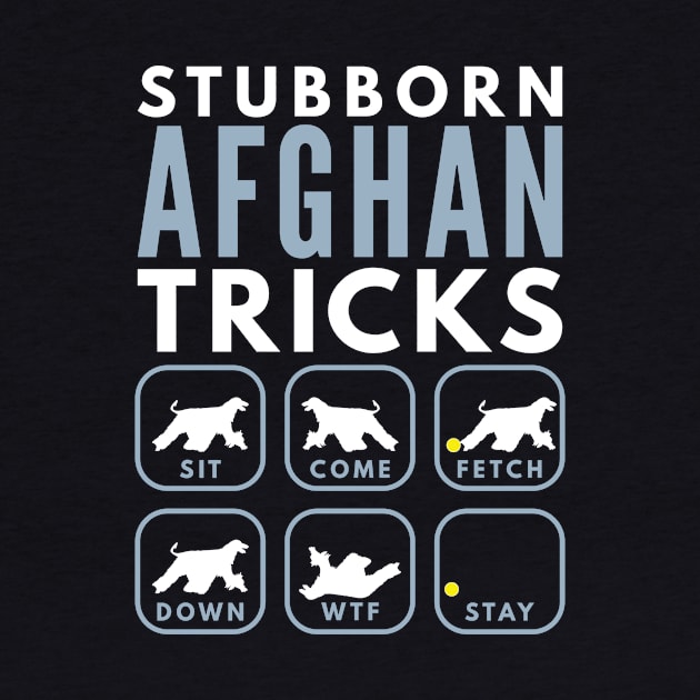 Stubborn Afghan Hound Tricks - Dog Training by DoggyStyles